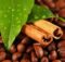 Top 5 Best Espresso Coffee Beans